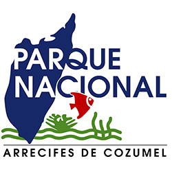 parquenacionalcozumel